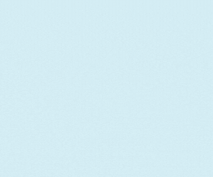 300x250-3
