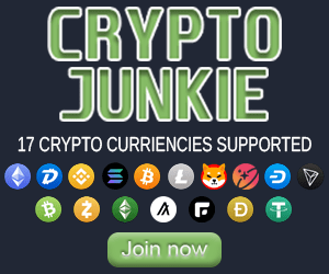 cryptojunkie_300x250